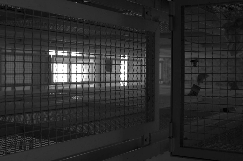 daylight through metallic grids