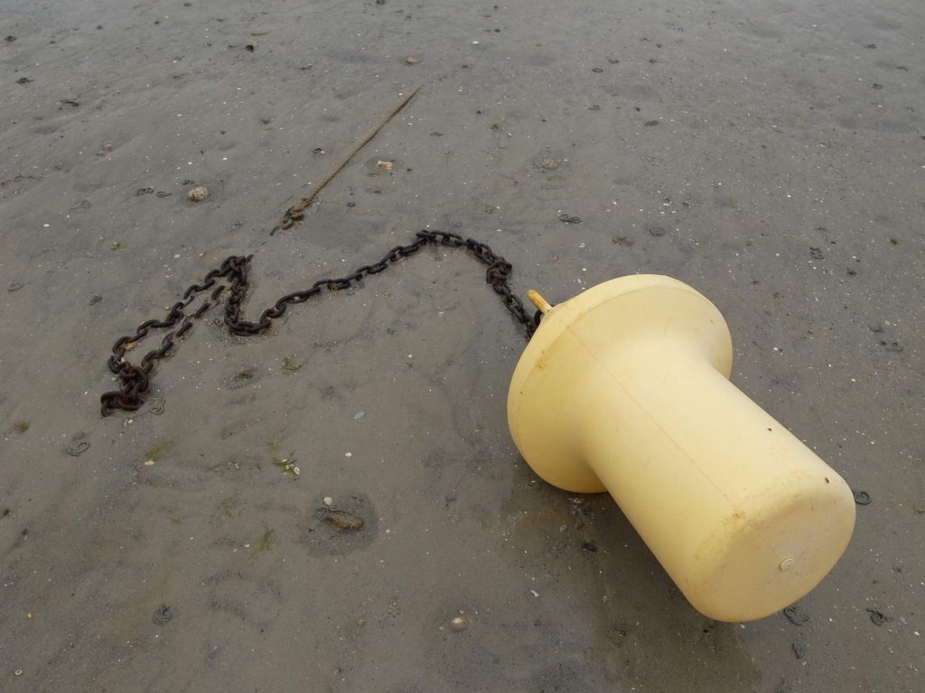 buey on the beach in Brittany